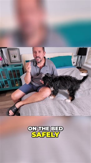 LIFESAVER DOG RAMP Review | SAFE BED ACCESS for Small Dogs | Reviews Unscripted