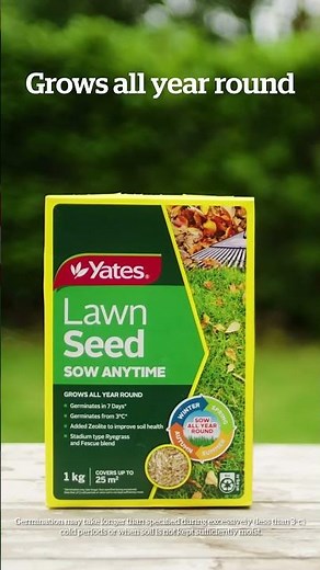 How to choose the right lawn seed