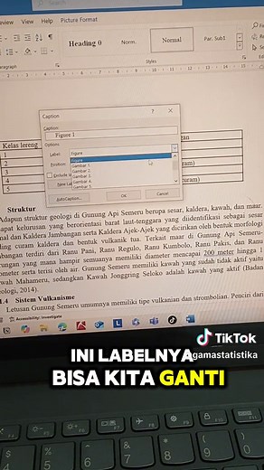 Cara Mudah Menambahkan Caption pada Tabel di Word