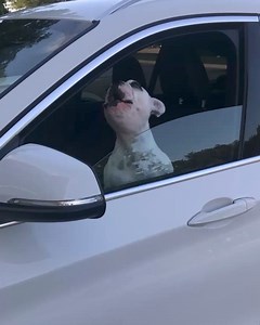 995 reactions · 75 shares | Chrome creates and remembers strong passwords so you don’t have to. | Google Chrome | Facebook