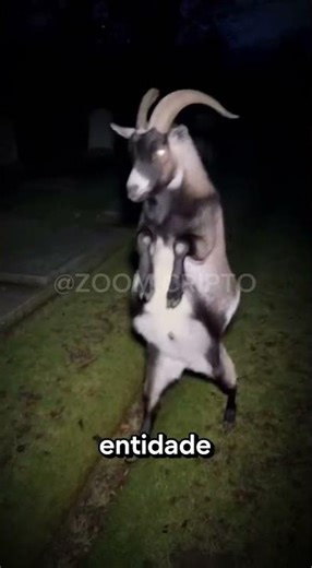 O Que O Bode Bípede Faz Se Te Encontrar No Cemitério!#shorts #sentencadevida #bode #entidade #terror