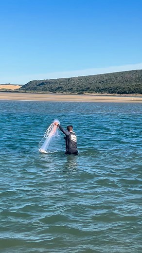 8.1K views · 987 reactions | Big shark from the beach in South Africa   Using the new Saltiga 25 朗 @daiwa_japan Safely handled and released   #fishing #fishingsouthafrica #fishingguide #bkkhooks #fisherman #surfcasting #surfcasting #travelingfisherman #fishinglife #fishingvideos #oceanveiw #oceanlife #bigfish #monsterfish #sharkfishing @blacktiph | Duvan Fishing Charters | Facebook