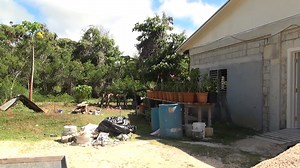 2.1K views · 38 reactions | S.B. 21-03 is to change the International Building Code from the 2009 version to the 2018 version in the CNMI. | KSPN2 News | Facebook