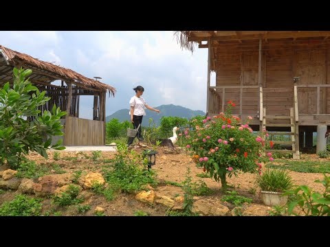 Harvesting taro, building a kitchen, planting corn, and cooking dinner