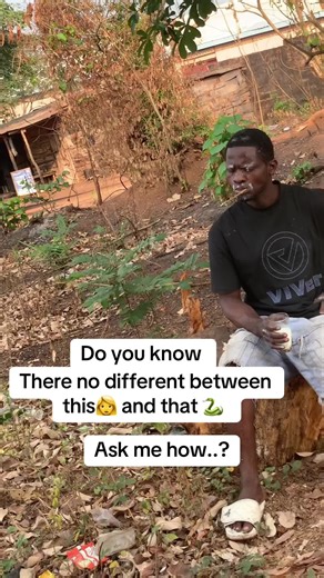 Exploring the Comparison Between Women and Snakes