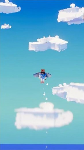 NEVER Fly Straight Up...