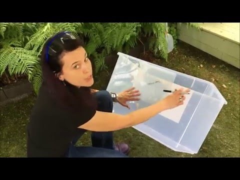 DIY The Best Litter Box