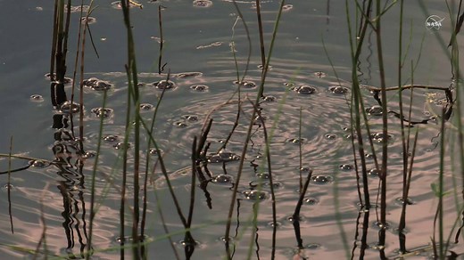 The Arctic permafrost has been expected to gradually thaw and release greenhouse gases into the atmosphere. But it may actually be sped up by instances of a relatively little known process called abrupt thawing that takes place under a certain type of Arctic lake. Details: https://go.nasa.gov/2OOfIfA | NASA - National Aeronautics and Space Administration