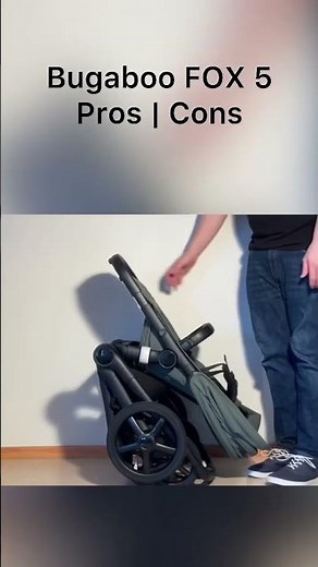 Bugaboo Fox 5: Pros & Cons