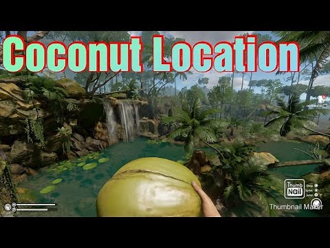 How/Where to find Coconuts in Green Hell Location Guide