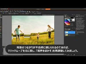 PaintShop Pro - マジックムーブ