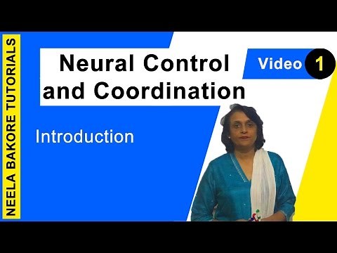 Neural Control and Coordination | NEET | Introduction | Neela Bakore Tutorials