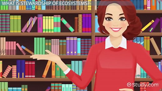 Environmental Stewardship | Definition, Types & Examples