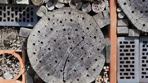 insect hotel, bug hotel, insect house, shelter for insects