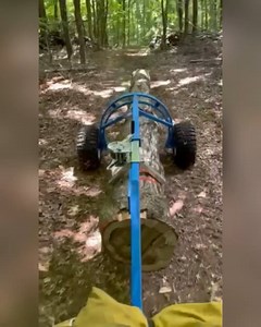 Check out this video of the Fetching Arch using the custom winch adapter to keep these logs off the trail! "Just wanted you to see more of the arch at work this is the job I told you about that it is important that we don’t dig up the trail the logs are close to 1/4 mile away from where I can get the truck and trailer so It’s a perfect job for the arch. The White Oak log in the video is 16 1/2 feet and 21 inches at the butt" | LogRite