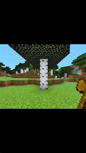 #Minecraft #mine #craft #model #mods | minecraft ohio