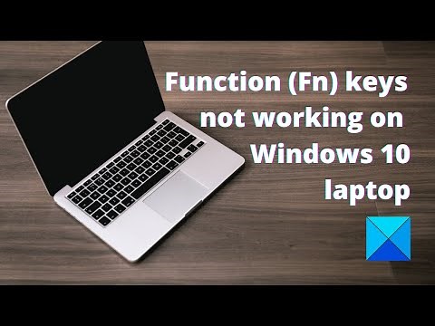 Function (Fn) keys not working in Windows 1