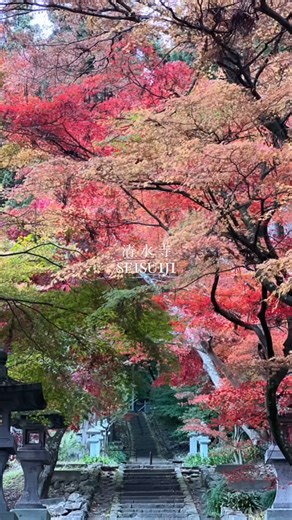 897K views · 7.8K reactions | EN VI PT Below...