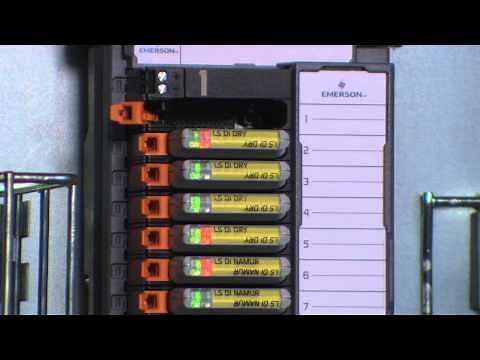 DeltaV SIS: Electronic Marshalling