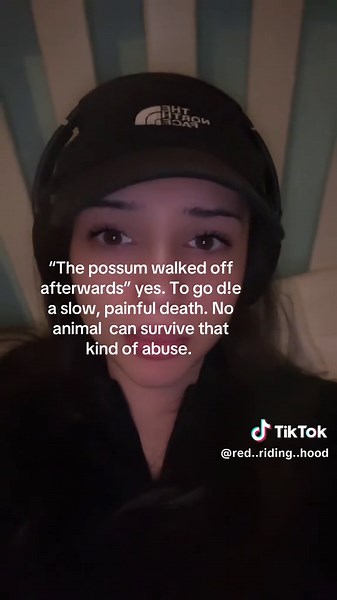 Some people on here are so stupid it genuinely makes me lose faith in humanity. You guys are actually heartless if you’re going out of your way to defend animal abuse. Context: I’m on abt the Ross Creations possum video. #possum #animals #animallover #fyp #animalestiktok