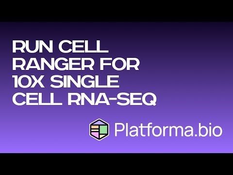 RNA-seq: Run Cell Ranger for 10x scRNA-seq data