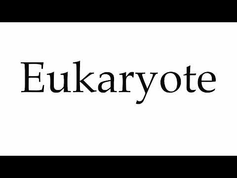 How to Pronounce Eukaryote