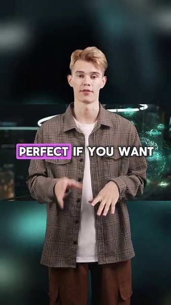 Hands On Pentesting Fundamentals — Free & Beginner