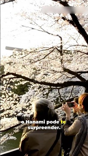 🌸 Encantador! Japoneses Celebram o Hanami com Flores de Cerejeira! 🇯🇵