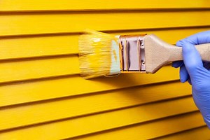 The Best Exterior Paint in 2024: Our Top 13 Picks - DIY Painting Tips