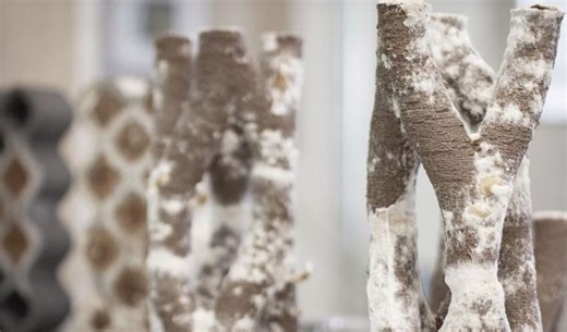 Mycelium as a Material for 3D Printing - 3Dnatives