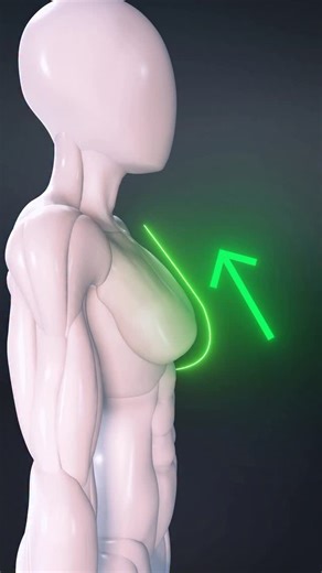 Squat Challenge on Instagram: "Chest Workout at Home – Lift and Shape Without Weights 💪 👉 Download @fitonomyapp and start training smart today. Want to lift and shape your chest? Try this killer combo: 🔥 Banded Chest Press — 3x15 (build strength and power) 🔥 Incline Dumbbell Fly — 3x12 (isolate and lift your upper chest) 🔥 Banded Push-Ups — 3x15 (resistance = more growth) You don’t need a gym, just good form and consistency. #chestworkout #upperbodyworkout #fitonomyapp #homeworkout #chestda