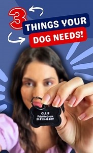 280 reactions · 61 shares | FidoAlert is the first text based Amber Alert for pets. Our nationwide pet alert network connects you to thousands of local Pet Finders in your area to bring your lost dog home safe and sound. The best part? It's FREE. (No credit card required). Get yours today https://www.fidoalert.com | FidoAlert | Facebook