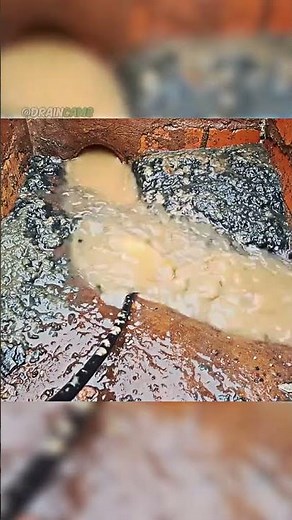 How to Identify and Fix Clogged Drains: A Homeowner's Guide