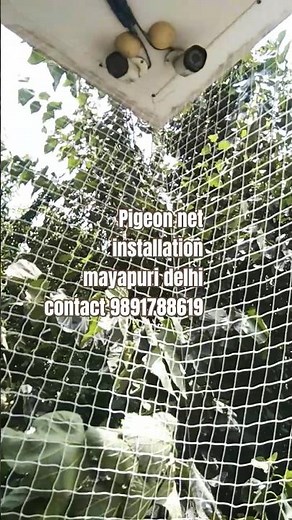 How to Install Heavy Duty Bird Netting [A Step-by-Step Tutorial] Professional Bird Net Installation