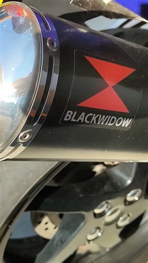 Honda vfr800 idle sound of the Blackwidow Exhaust system