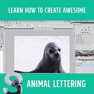 5.5K views · 101 reactions | Learn how to create an amazing Animal Alphabet! In this tutorial we'll teach you how combine cut outs and lettering to create your own animal alphabet. A B C D | Design Cuts | Facebook