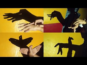 Shadowgraphy | Very Interesting Video