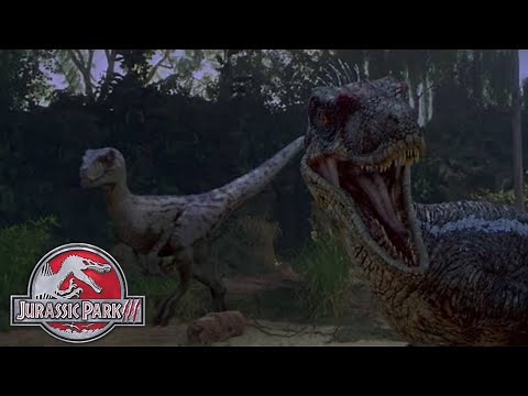 Jurassic Park 3 [2001] - Velociraptors Screen Time