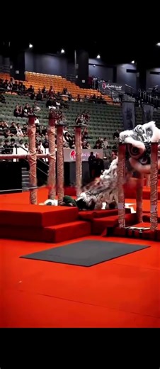 Most Hilarious Lion Dance Fail Moments