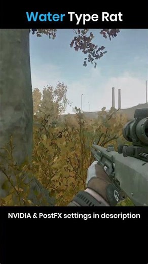 Water Type Rat #ratting #escapefromtarkov #customs