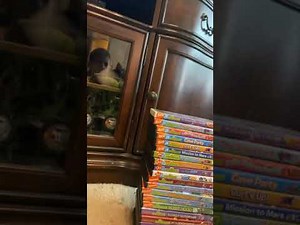 Backyardigans dvd collection