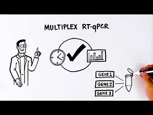 Multiplex RT-qPCR: Advanced Gene Expression Analysis with PrimePCR Assays