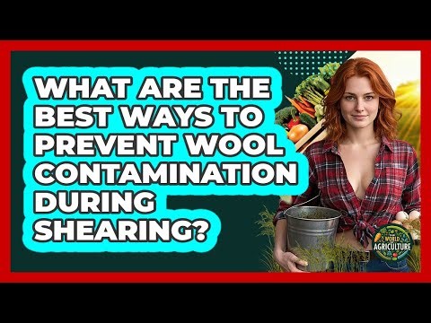 What Are The Best Ways To Prevent Wool Contamination During Shearing? - The World of Agriculture