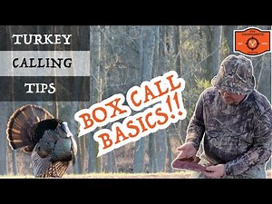 🦃 Turkey Hunting for Beginners: How to Use a Box Call! #turkeyhunting #turkeycalling