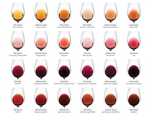 Complete Wine Color Chart (Download) | Wine Folly