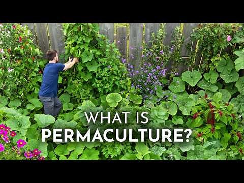 PERMACULTURE Explained in 6 Minutes