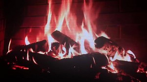 1.7K views · 81 reactions | Ah, there's nothing like a real fire - founds this one in Edinburgh ..... M | Out of Doors | Facebook