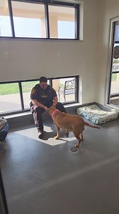 27K views · 654 reactions | You may have seen Dakota highlighted on...