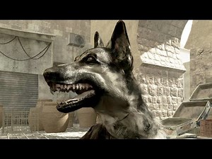 Call of Duty: Modern Warfare - Dog Sounds