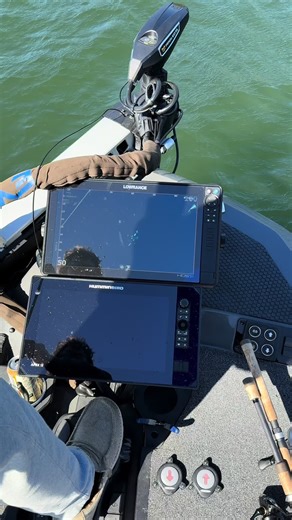 Effective Live Scoping Techniques for Bass Fishing